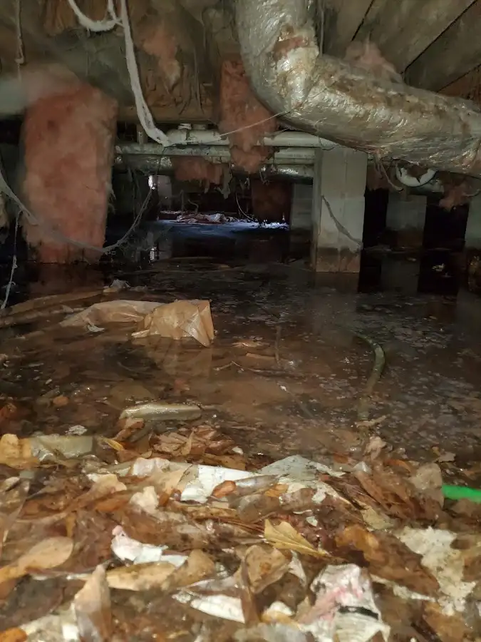 Crawl space flood assessment for Commercial Water Damage Restoration in Candler-McAfee