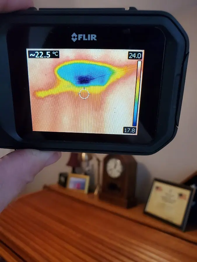 Thermal imaging inspection for water damage in Candler-McAfee